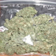 Image for article titled Remember How the First Thing Ever Sold Online Was a Baggie of Weed?